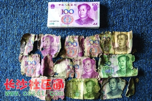huangj14081041_nEO_IMG.jpg